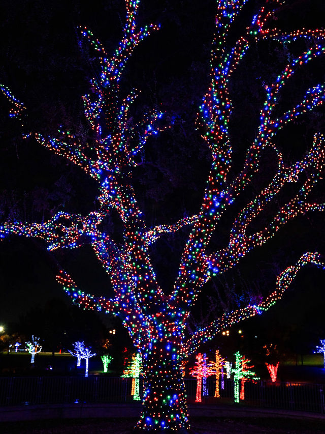 Free Light Forest in DFW