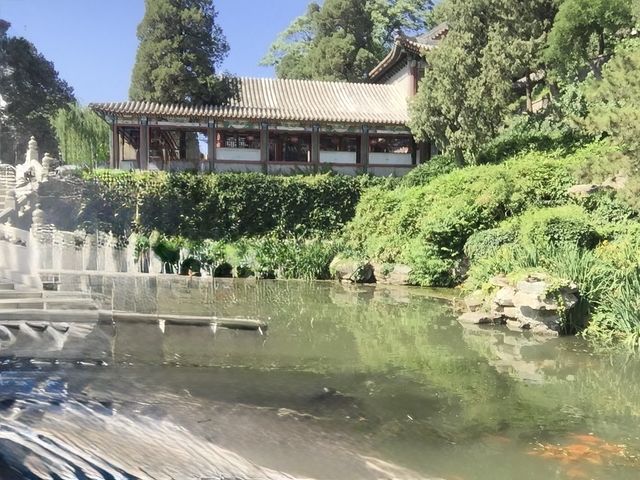 來北海公園看珍藏
