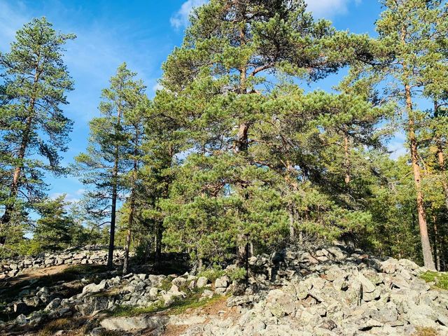 芬蘭🇫🇮景點-勞馬青銅器時代遺址