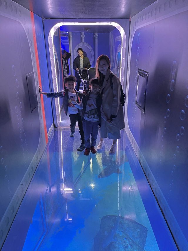 遊覽大笨鐘倫敦眼海洋館行程