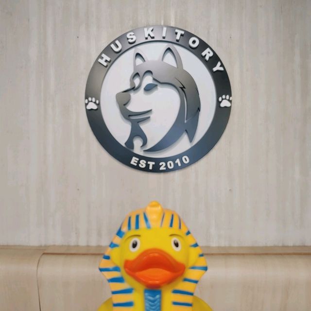 馬六甲Husky天堂 | 盡情享受被哈士奇們包圍吧！