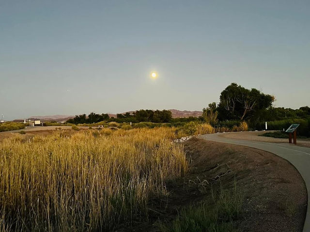 Clark County Wetlands Park 🇺🇸