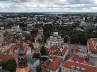 愛沙尼亞🇪🇪景點-Patkuli viewing platform