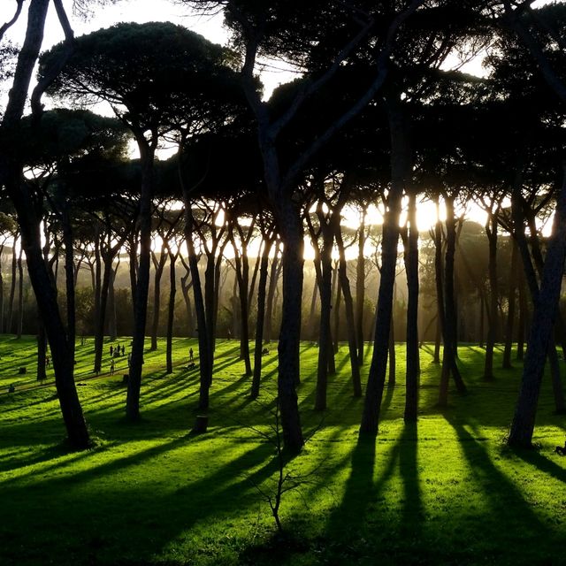 Relax in one of Rome's Green Corners