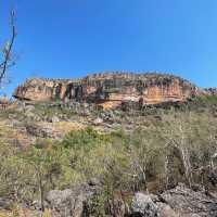 Kakadu National Park 🌳🌴