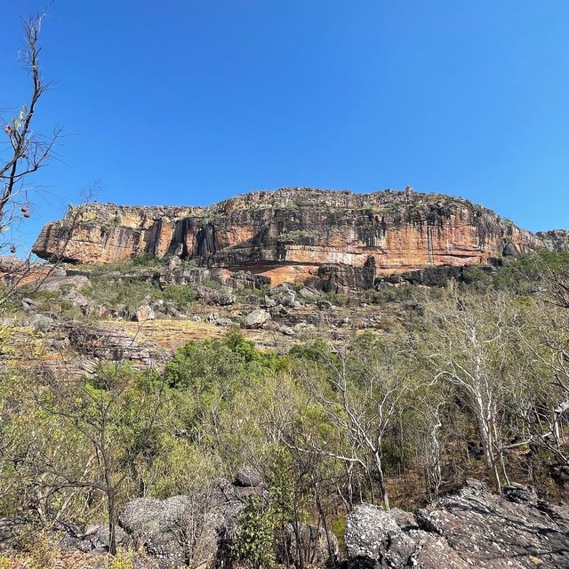Kakadu National Park 🌳🌴
