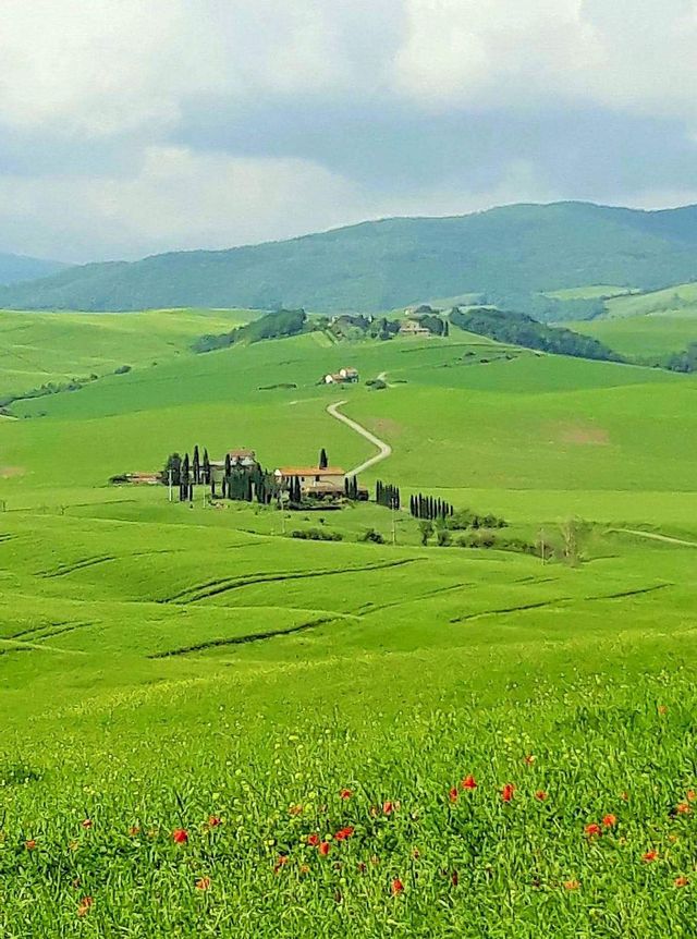 A Glimpse into Tuscany's Tranquility