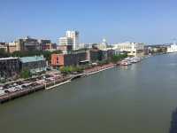 A Quirky Adventure in Savannah
