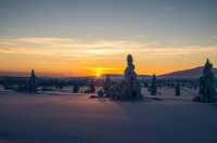 Mystical Aurora in Lapland Winter Wonderland