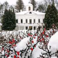 Discover the Charm of Serednikovo, Russia! 