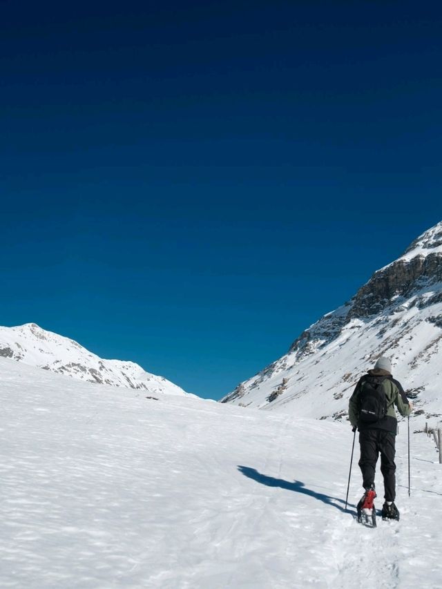 Did you ever try this wintersport?