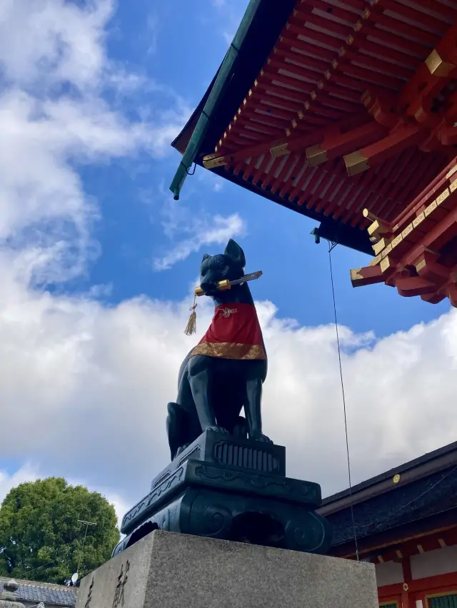 ⛩️안 오면 후회하는 교토 여우신과 함께하는 지브리 갬성신사🦊