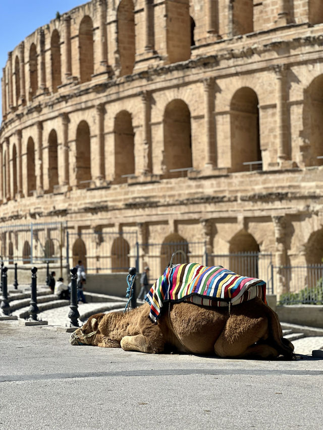 Explore the 3rd largest amphitheater in the World 🏛️