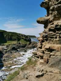 Findlater Castle. 🏰🏴󠁧󠁢󠁳󠁣󠁴󠁿