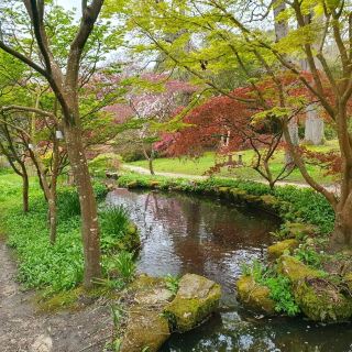 Finding all Colors at Exbury Garden! 🌸🏵️🪻
