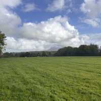 A Ribbleside Ramble