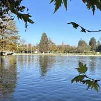 瑞士楚格湖的最北端公園