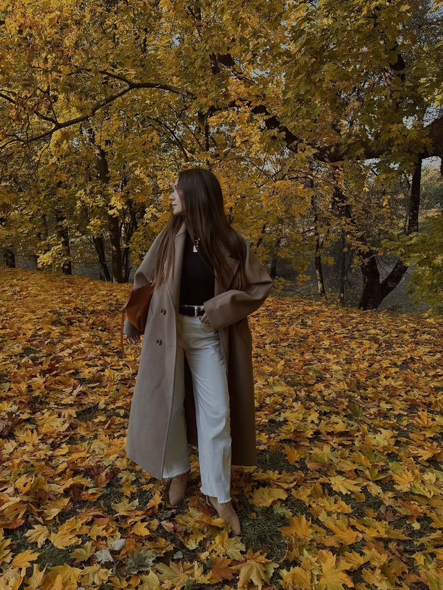 가을 모스크바 탐험 🍂
