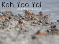 เกาะยาวใหญ่ ใครๆก็หลงรัก