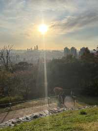 🌆🌿 Seoul from Above: N Seoul Tower & Namsan Park