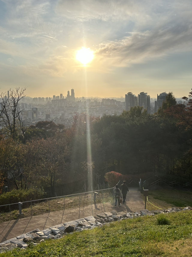🌆🌿 Seoul from Above: N Seoul Tower & Namsan Park