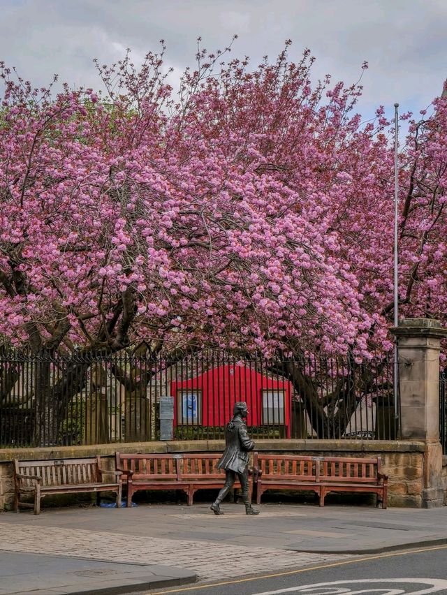 Embrace the Beauty of Spring in Edinburgh 🌸🌿