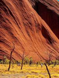 A Road Trip to Uluru: An Adventure of a Lifetime 🚗✨