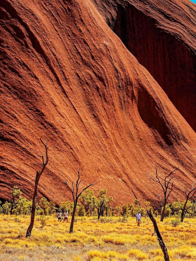 A Road Trip to Uluru: An Adventure of a Lifetime 🚗✨