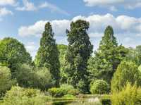 Mother natures finest is in Cambridge Botanical Gains!