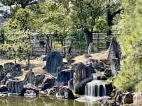 Osaka 3 Days Travel Guide 
