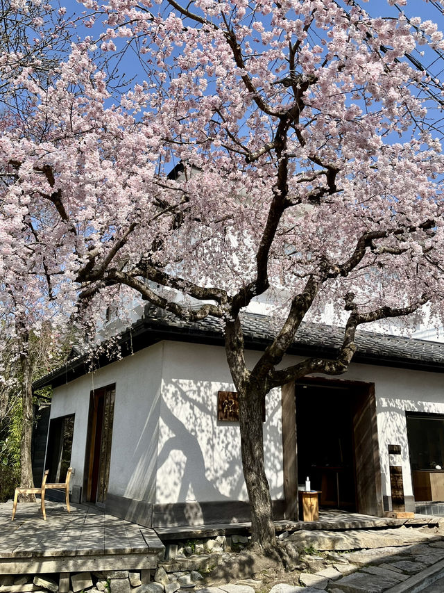Beautiful Kyoto