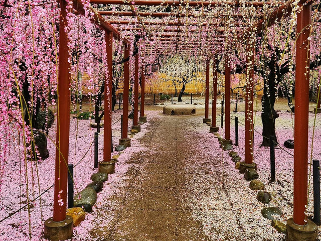 A shrine that enshrines Yuki Munehiro