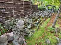 The scene of about 8,000 stone Buddhas and stone pagodas lined up in the precincts