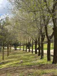 Al-Hussein Park