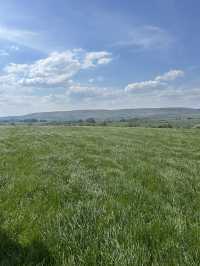 Bowland in the spring 