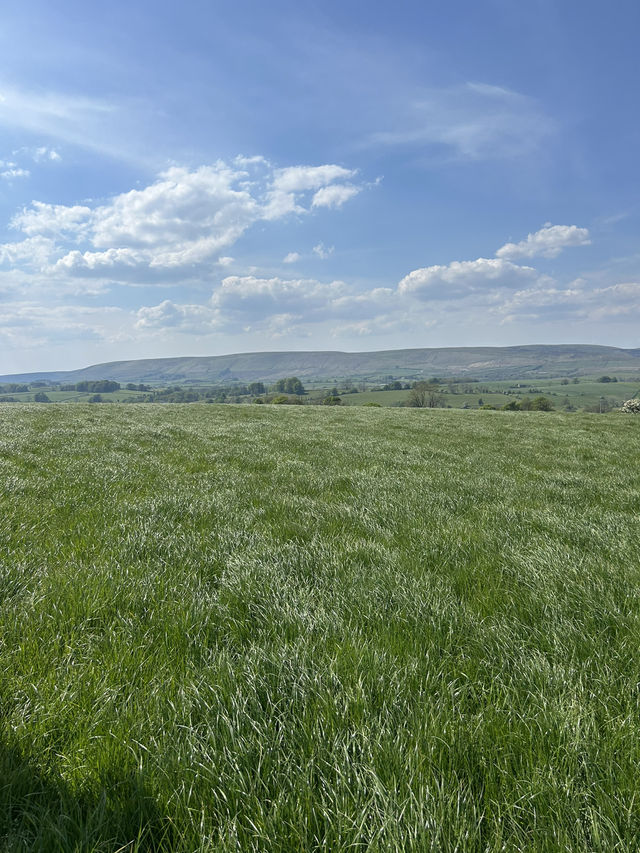 Bowland in the spring 