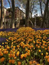 Turkiye and its beauty