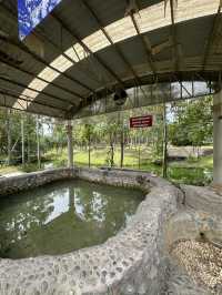 Free hot spring in Surat Thani