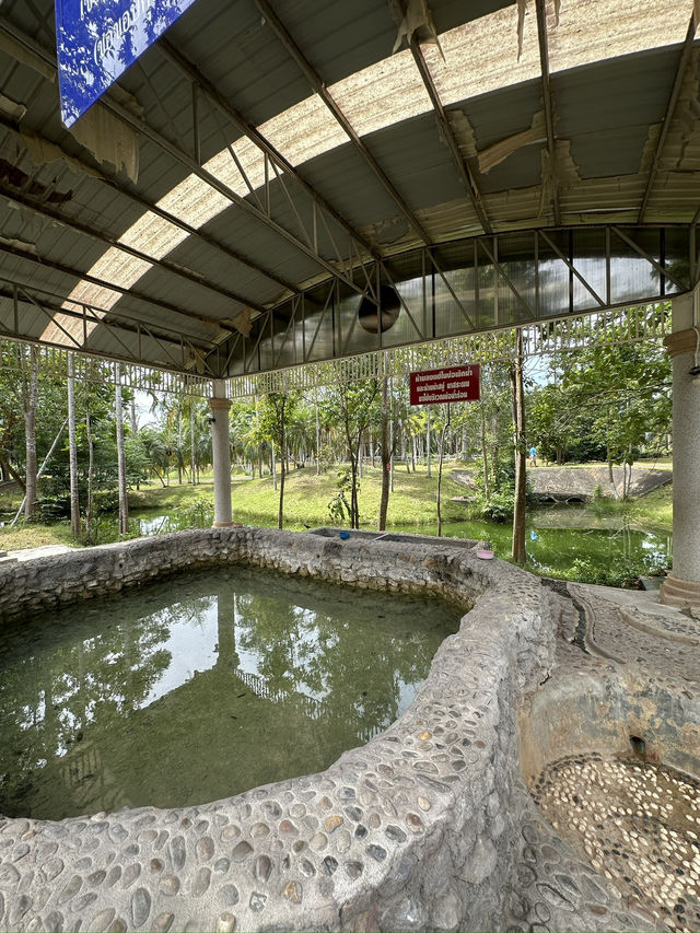 Free hot spring in Surat Thani