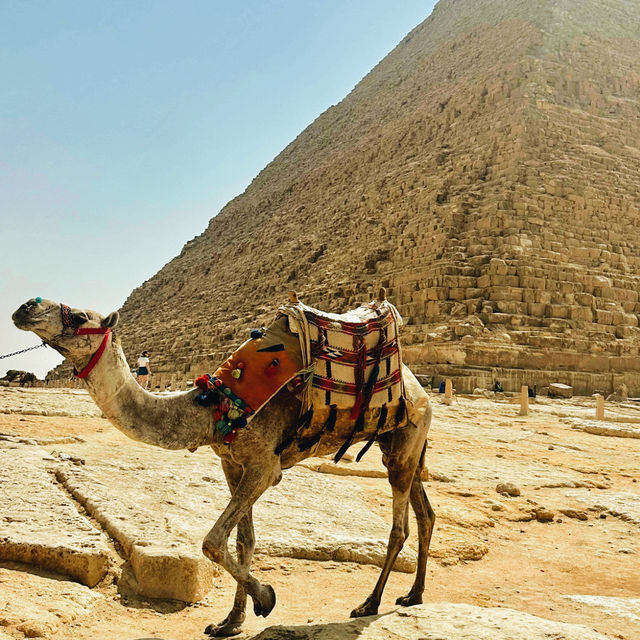 🚗💡 Ride-Sharing Travel Tips for Exploring Cairo Like a Pro! 🇪🇬✨
