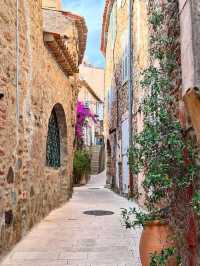 🌿 Gassin: A Hilltop Jewel Overlooking the Glamour of Saint-Tropez 🇫🇷✨