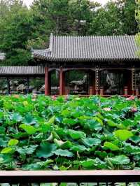 🌿 Summer Palace – An Imperial Garden of Tranquility and Grandeur