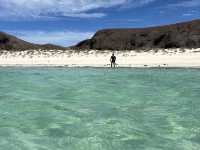 Baja California for Divers – Skip Cabo, Go Deeper 🌊🐠
