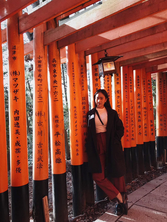 เมื่อความหนาวพาเราไปหาเสาแดง ฟุชิมิ อินาริ⛩️