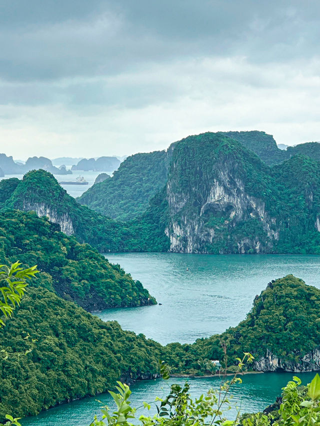 🇻🇳 Hạ Long Bay, Vietnam – A Natural Wonder Worth Every Moment 🌅🚤