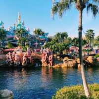 Tokyo Disney Adventure: Magic in the Heart of Japan