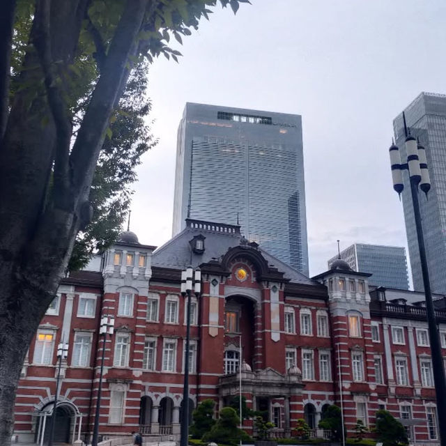 Tokyo Like a Local: Everyday Life in the Big City