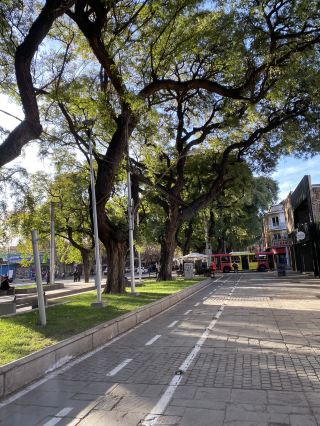 아르헨티나 여행: Manzano Historico의 햇볕이 잘 드는 Mendoza Vibes!