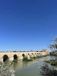 Córdoba: History, Culture & Andalusian Charm 🏛️🌿✨