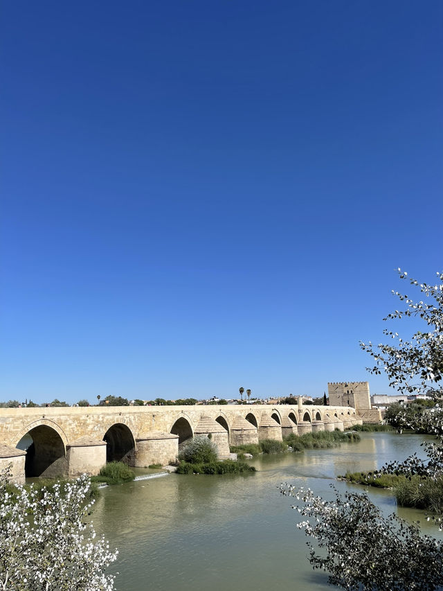 Córdoba: History, Culture & Andalusian Charm 🏛️🌿✨